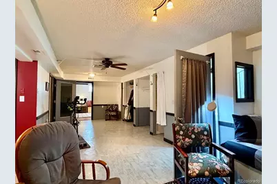 245 Baby Doe Drive, Leadville, CO 80461 - Photo 31