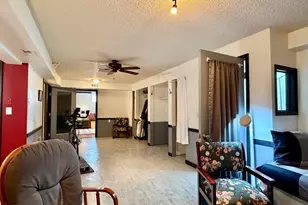 245 Baby Doe Dr, Leadville, CO 80461 - Photo 31