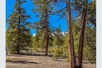 199 Cedar Drive, Twin Lakes, CO 81251 - Photo 1