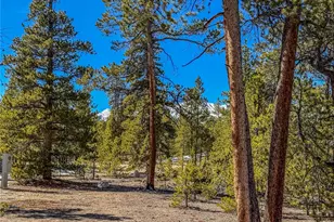 199 Cedar Dr, Twin Lakes, CO 81251 - Photo 1