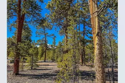 199 Cedar Drive, Twin Lakes, CO 81251 - Photo 3