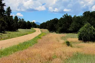 395 Fox Fire Trl, Cotopaxi, CO 81223 - Photo 43