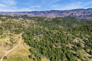 5908 N Rim Rd, Livermore, CO 80536 - Photo 49