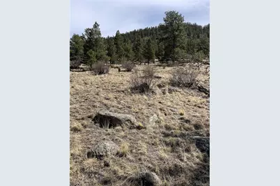 2030 Puma Hills Road, Lake George, CO 80827 - Photo 7