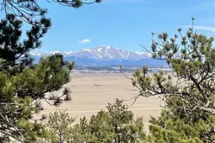 2030 Puma Hills Rd, Lake George, CO 80827 - Photo 1