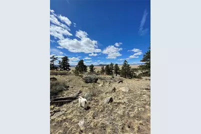 2030 Puma Hills Road, Lake George, CO 80827 - Photo 15