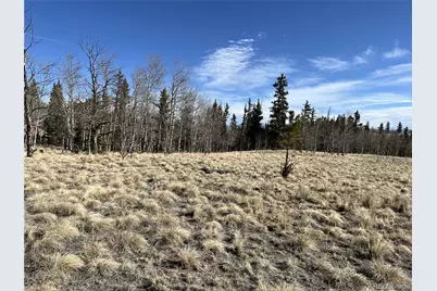 27 Warpath Road, Como, CO 80432 - Photo 3