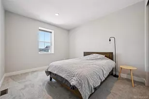 8491 Hotchkiss Loop, Littleton, CO 80125 - Photo 33