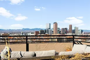1313 N Williams St, Denver, CO 80218 - Photo 33