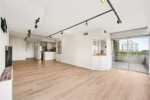 1313 N Williams St, Denver, CO 80218 - Photo 7