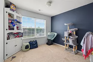 87 Peabody St, Castle Rock, CO 80104 - Photo 13