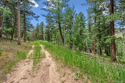 135 Linda Trail, Bailey, CO 80421 - Photo 5