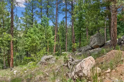 135 Linda Trail, Bailey, CO 80421 - Photo 7