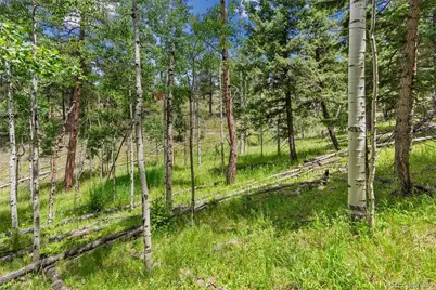 135 Linda Trail, Bailey, CO 80421 - Photo 17