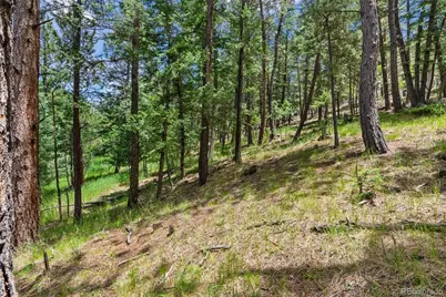 135 Linda Trail, Bailey, CO 80421 - Photo 21