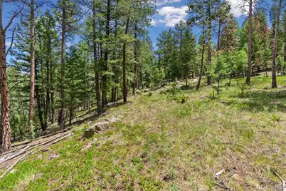 135 Linda Trail, Bailey, CO 80421 - Photo 9