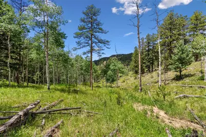 135 Linda Trail, Bailey, CO 80421 - Photo 19