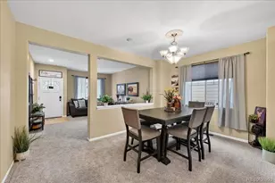 2955 Night Song Way, Castle Rock, CO 80109 - Photo 7