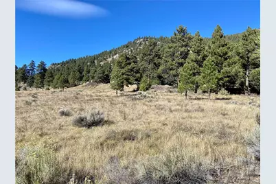 166 Lonesome Pine Drive, Antonito, CO 81120 - Photo 3