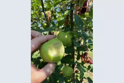 7050 S Newland Court, Littleton, CO 80128 - Photo 37