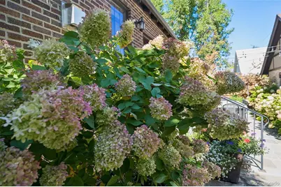 340 S Race Street, Denver, CO 80209 - Photo 31