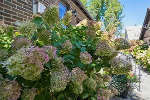 340 S Race St, Denver, CO 80209 - Photo 31