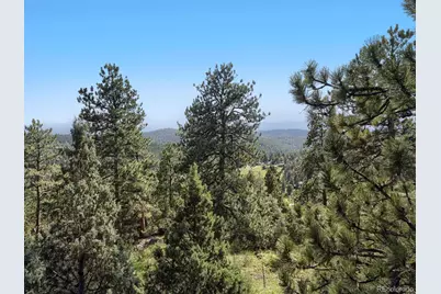 479 Doe Circle, Bailey, CO 80421 - Photo 27