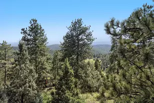 479 Doe Cir, Bailey, CO 80421 - Photo 27