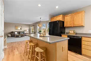 10015 Hughes Pl, Highlands Ranch, CO 80126 - Photo 7