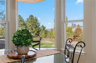 10015 Hughes Pl, Highlands Ranch, CO 80126 - Photo 9