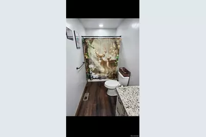 455 Cedar Drive, Leadville, CO 80461 - Photo 19