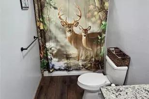 455 Cedar Dr, Leadville, CO 80461 - Photo 19