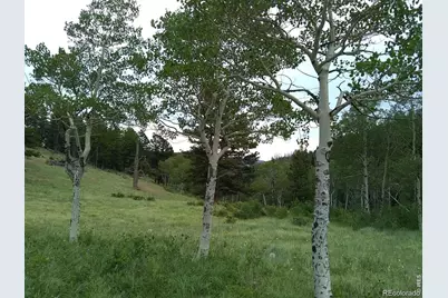 1001 County Road 86, Red Feather Lakes, CO 80545 - Photo 25