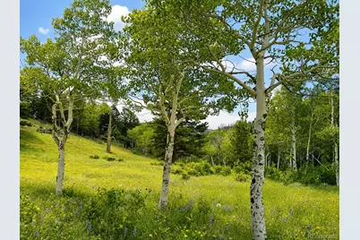 1001 County Road 86, Red Feather Lakes, CO 80545 - Photo 23