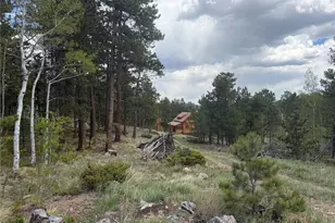 1001 County Road 86, Red Feather Lakes, CO 80545 - Photo 27