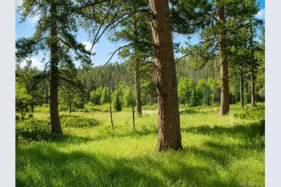 1001 County Road 86, Red Feather Lakes, CO 80545 - Photo 15