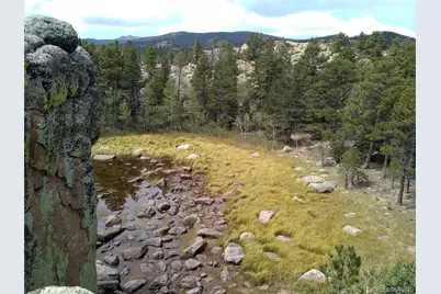 1001 County Road 86, Red Feather Lakes, CO 80545 - Photo 21