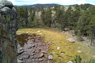 1001 County Road 86, Red Feather Lakes, CO 80545 - Photo 21