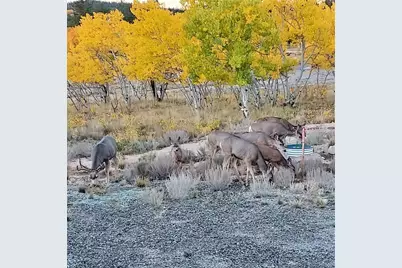 207 Overland Circle, Jefferson, CO 80456 - Photo 31