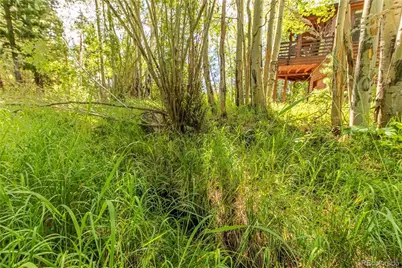34 Grand County Road 4948, Grand Lake, CO 80447 - Photo 33