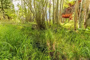 34 Grand County Road 4948, Grand Lake, CO 80447 - Photo 33
