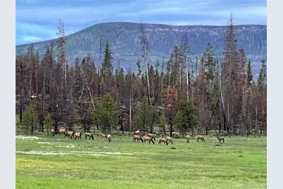 34 Grand County Road 4948, Grand Lake, CO 80447 - Photo 47