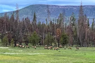 34 Grand County Road 4948, Grand Lake, CO 80447 - Photo 47