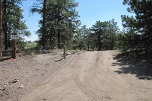 560 Concho Trail, Hartsel, CO 80449 - Photo 37