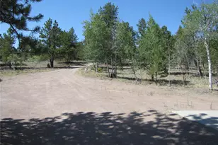 560 Concho Trail, Hartsel, CO 80449 - Photo 33