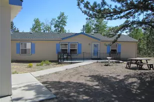 560 Concho Trail, Hartsel, CO 80449 - Photo 3