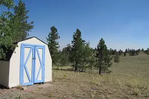 560 Concho Trail, Hartsel, CO 80449 - Photo 5