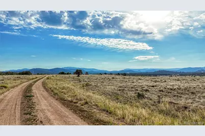 705 Riggs Road N, Westcliffe, CO 81252 - Photo 7