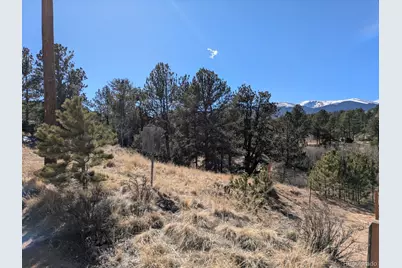 261 Appleby Street, Bailey, CO 80421 - Photo 5
