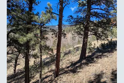 261 Appleby Street, Bailey, CO 80421 - Photo 11